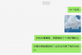 白银为什么选择专业追讨公司来处理您的债务纠纷？